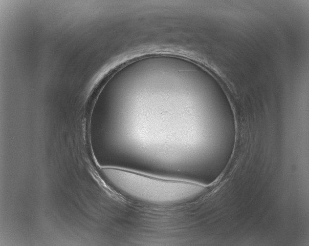 X0000081321503200701111015