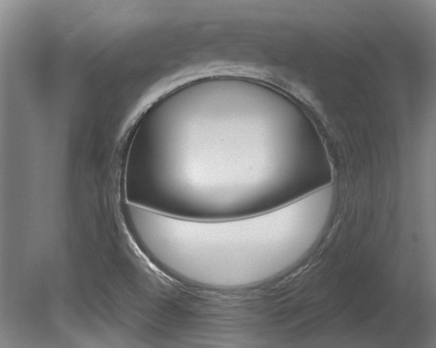 X0000081321504200701111015