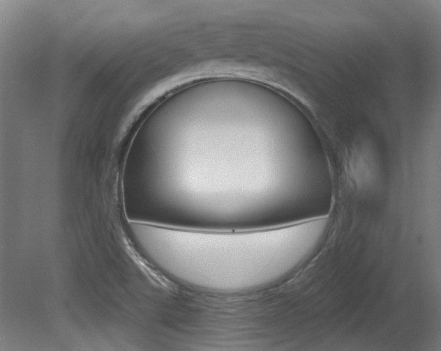 X0000081321507200701111015