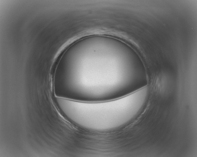 X0000081321509200701111015