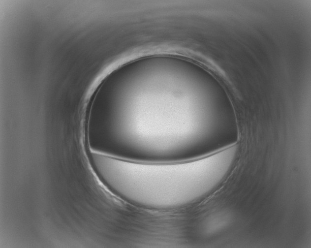 X0000081321512200701111015