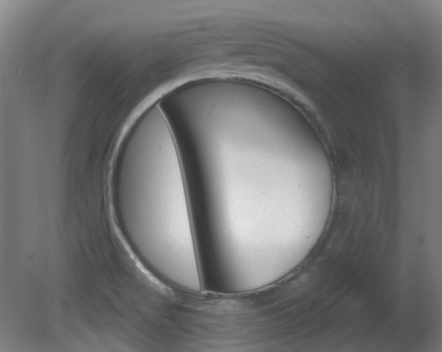 X0000081321517200701111015