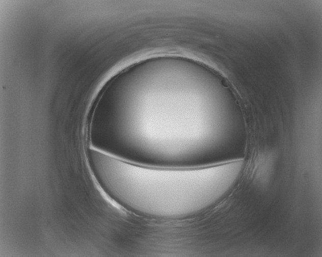 X0000081321519200701111015