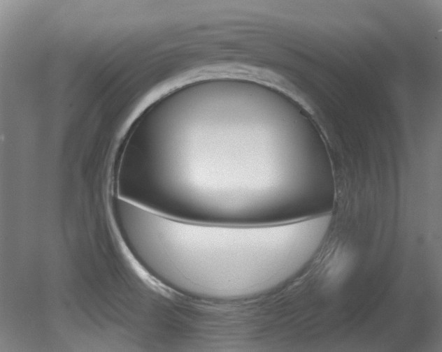 X0000081321523200701111015