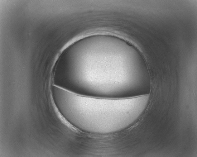 X0000081321526200701111015