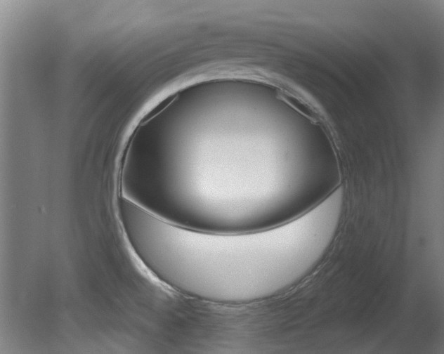 X0000081321528200701111015