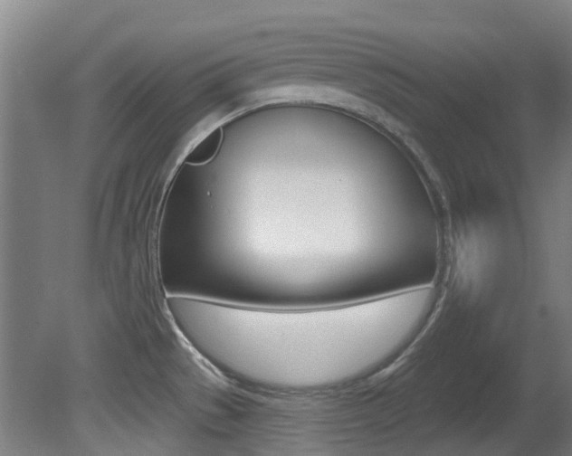 X0000081321529200701111015