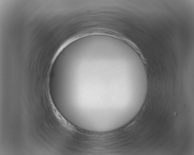 X0000081321530200701111015