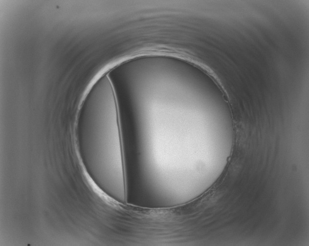 X0000081321531200701111015