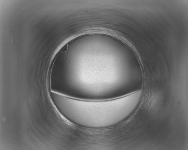 X0000081321533200701111015
