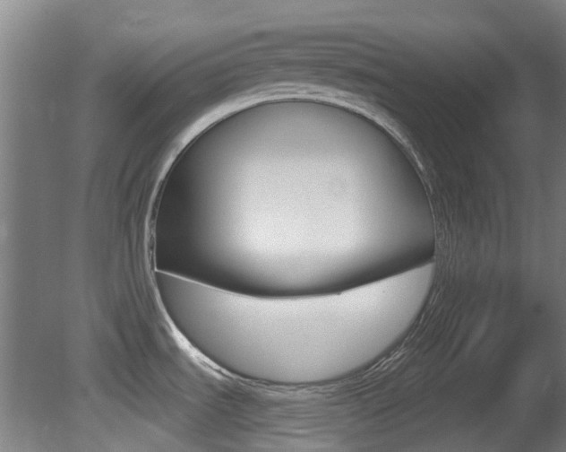 X0000081321535200701111015