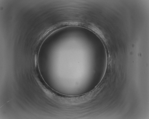 X0000081320013200701111345