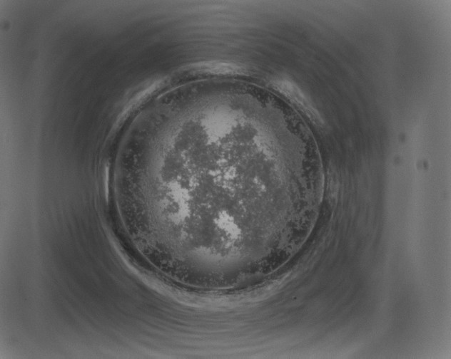 X0000081320014200701111345