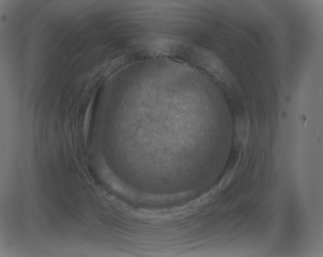 X0000081320029200701111345