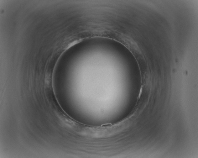 X0000081320033200701111345