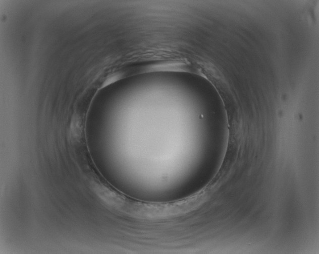 X0000081320037200701111345