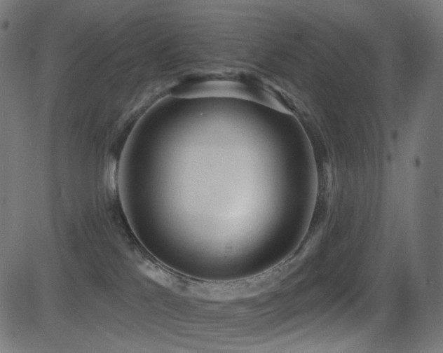 X0000081320041200701111345