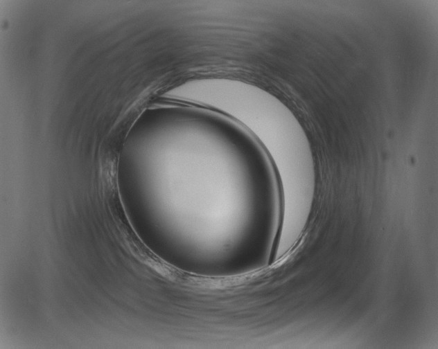 X0000081320045200701111344