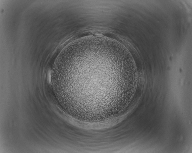 X0000081320046200701111344