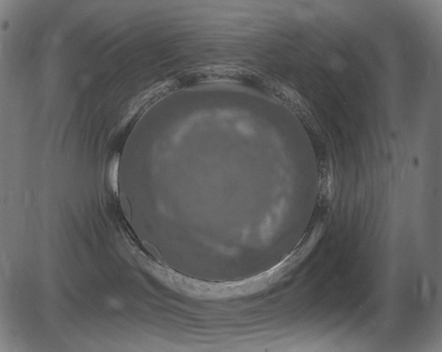 X0000081320047200701111344