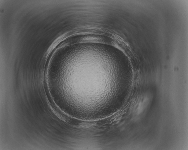 X0000081320051200701111344