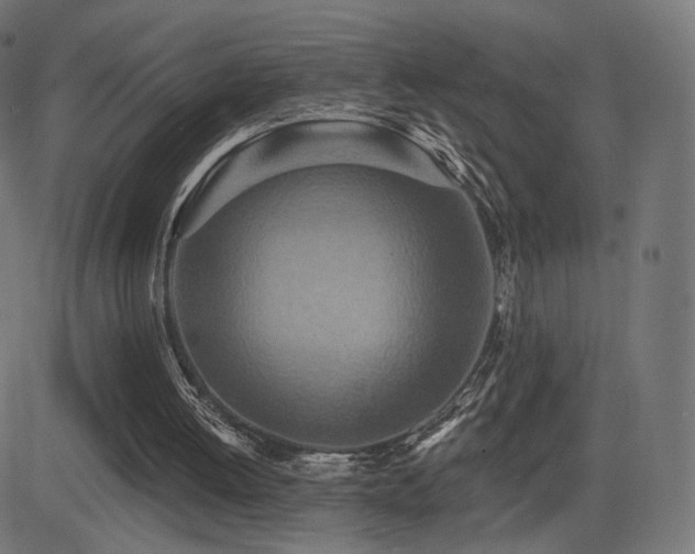X0000081320052200701111344