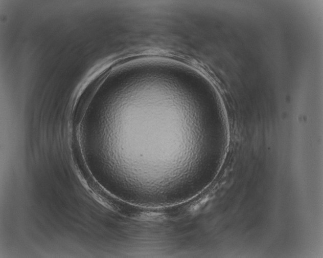 X0000081320055200701111344