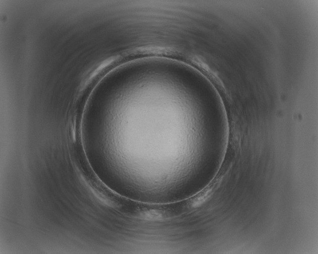 X0000081320062200701111344