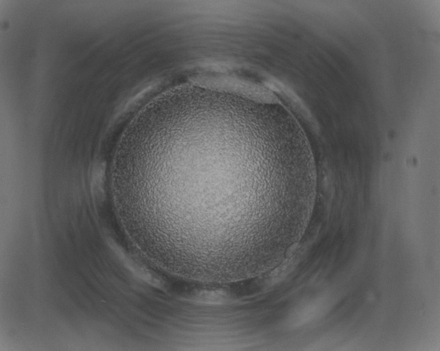 X0000081320066200701111344