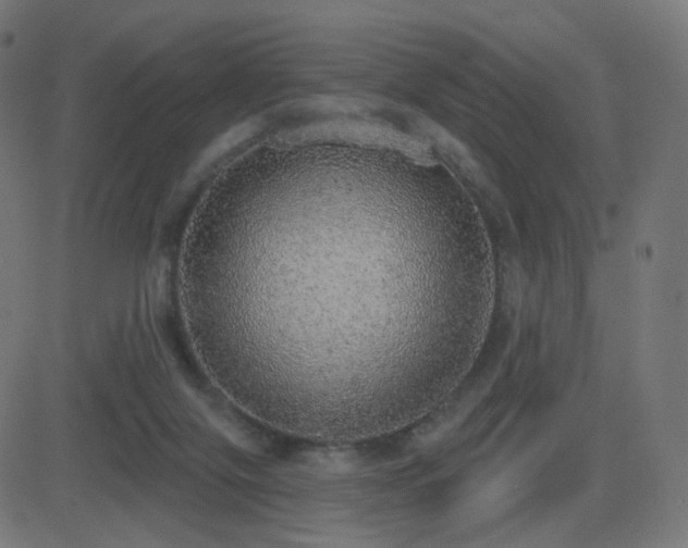 X0000081320071200701111344
