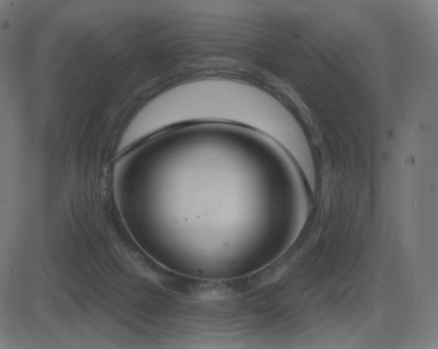 X0000081320073200701111344