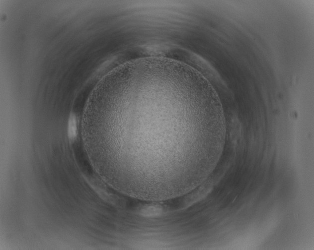 X0000081320075200701111344