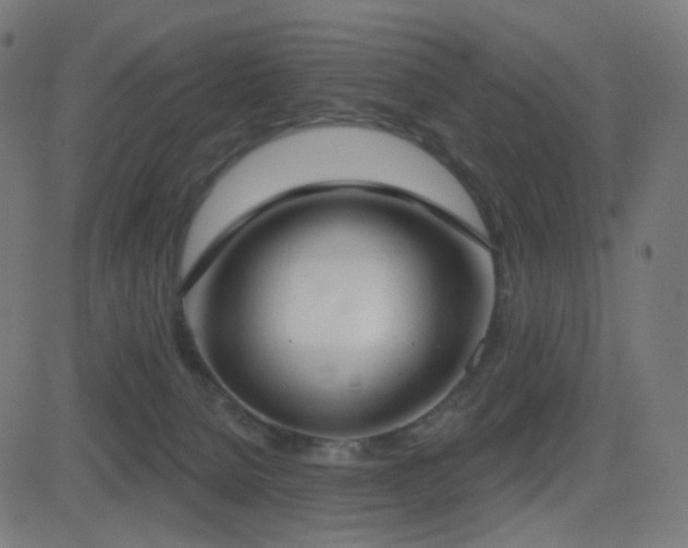 X0000081320080200701111344