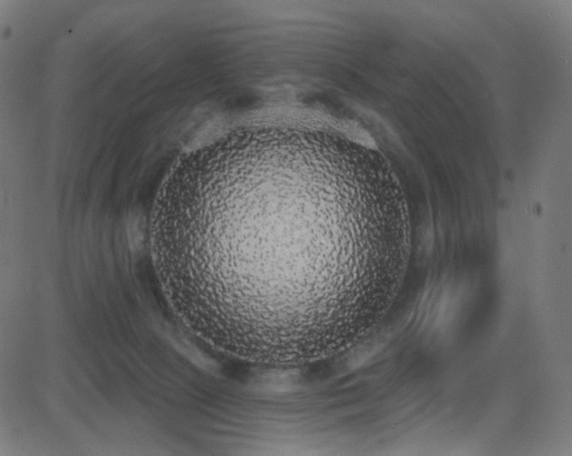 X0000081320081200701111344