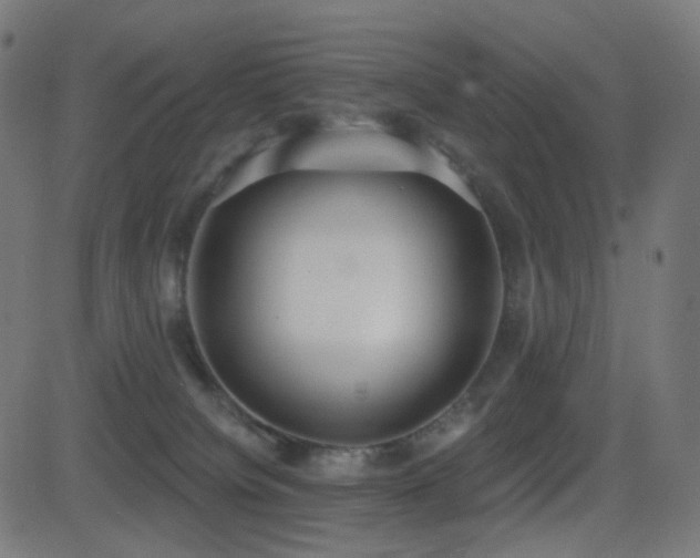 X0000081320084200701111344
