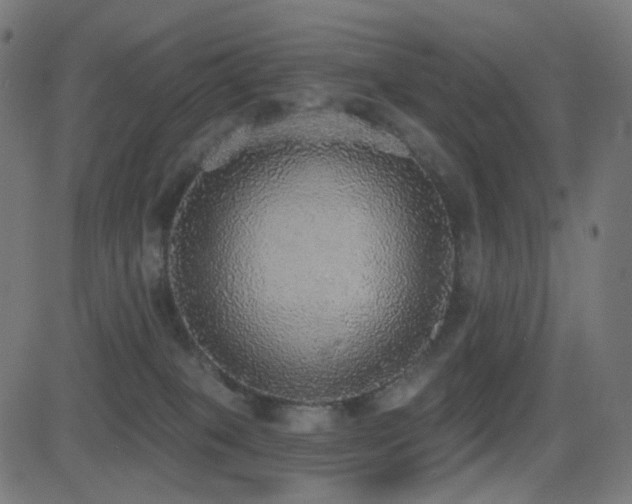 X0000081320085200701111344