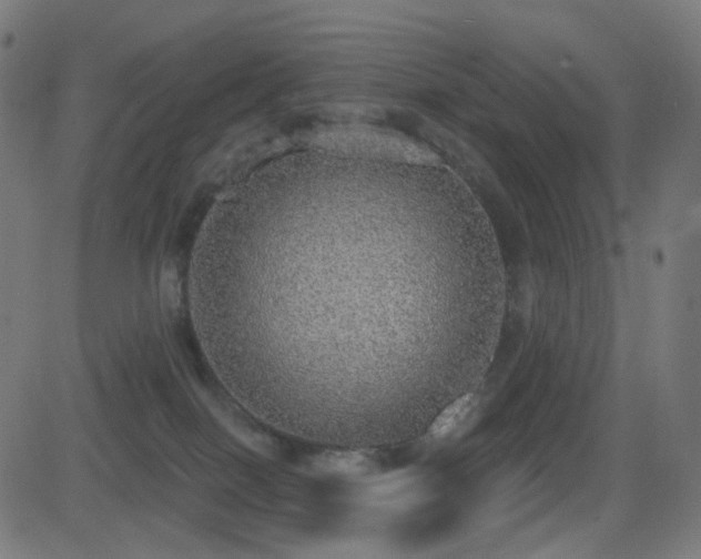 X0000081320086200701111344