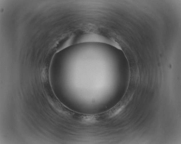X0000081320088200701111344