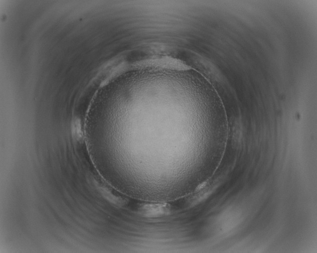 X0000081320089200701111344