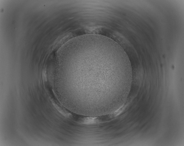 X0000081320090200701111344