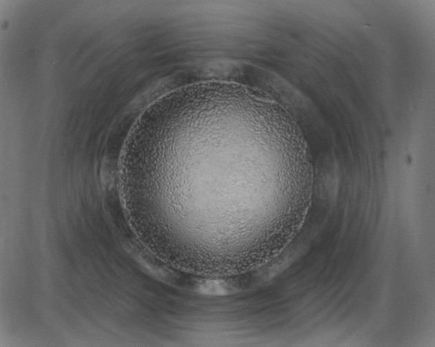 X0000081320091200701111344