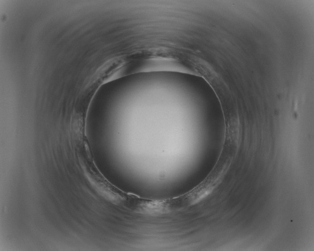 X0000081320092200701111344