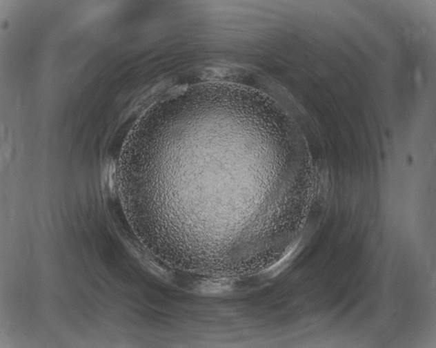 X0000081320094200701111344