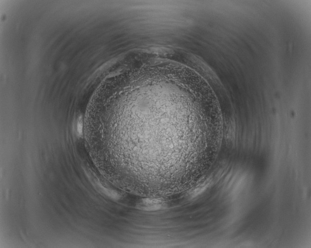 X0000081320095200701111344