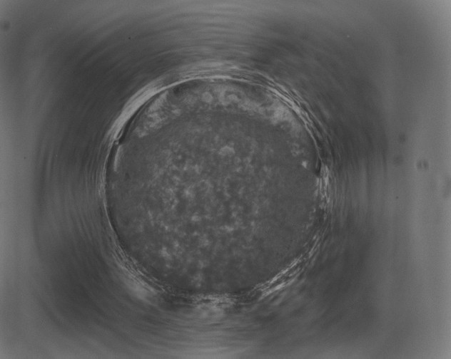 X0000081320099200701111344