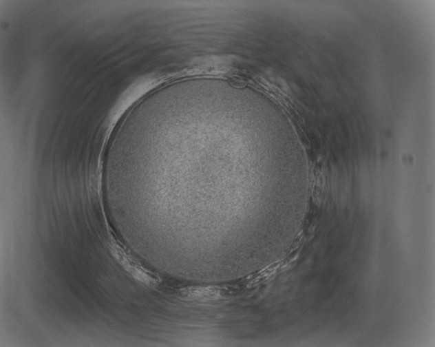 X0000081320100200701111344