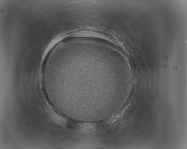 X0000081320102200701111344