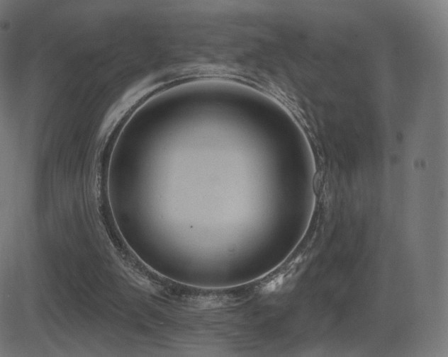 X0000081320103200701111344