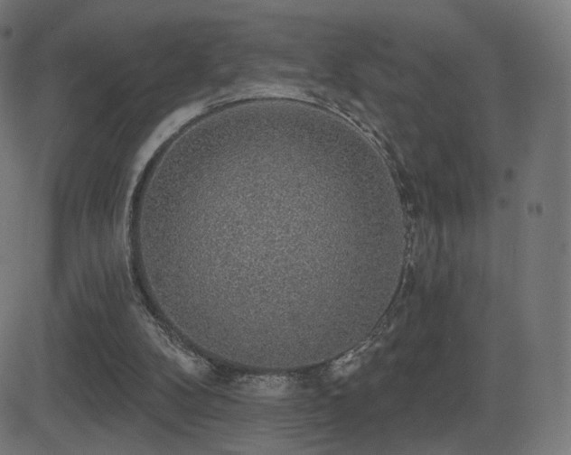 X0000081320104200701111343