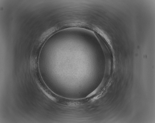 X0000081320105200701111343